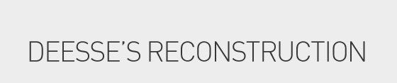 deesse's reconstruction